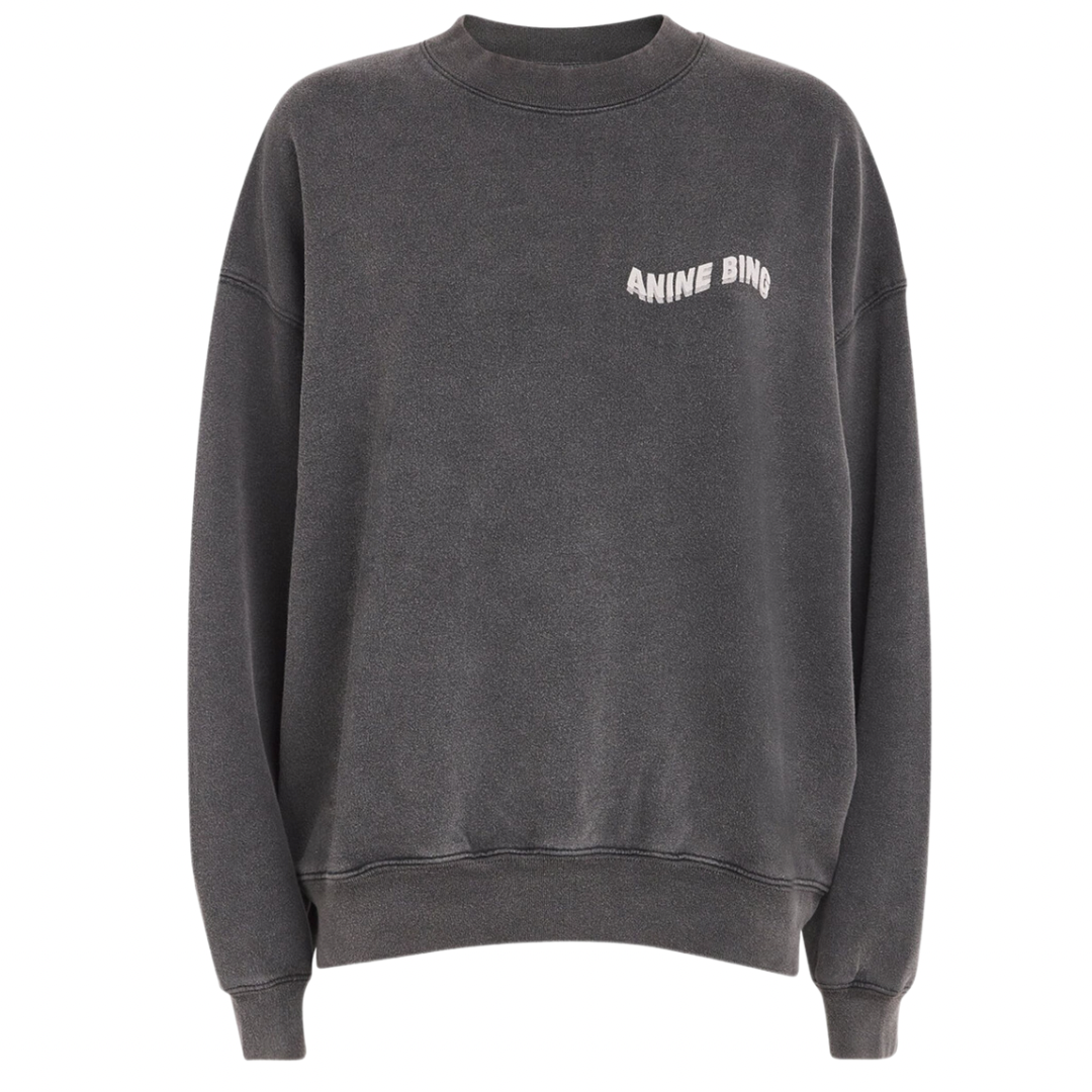 Anine bing esme sweatshirt online