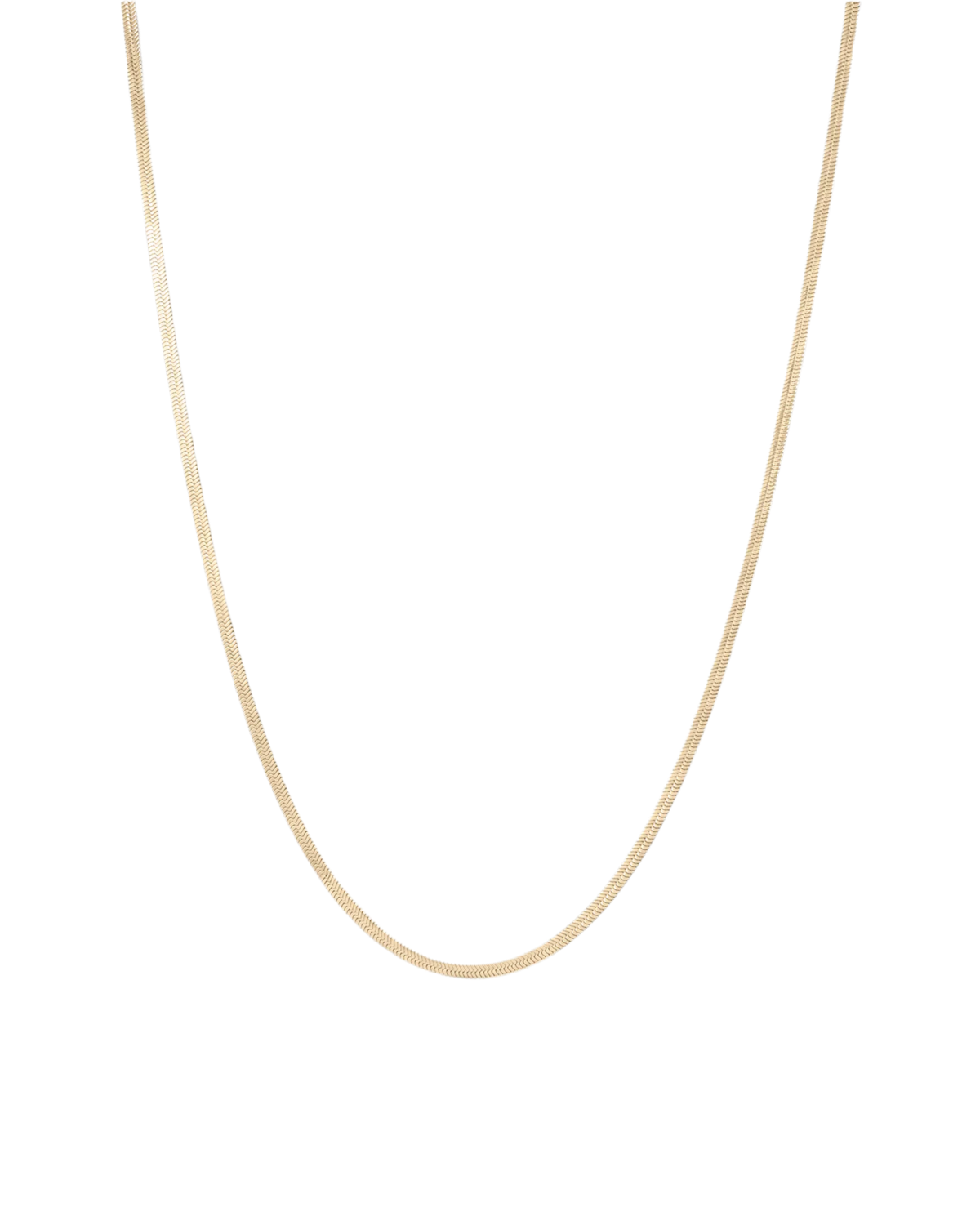 Zeina Chain