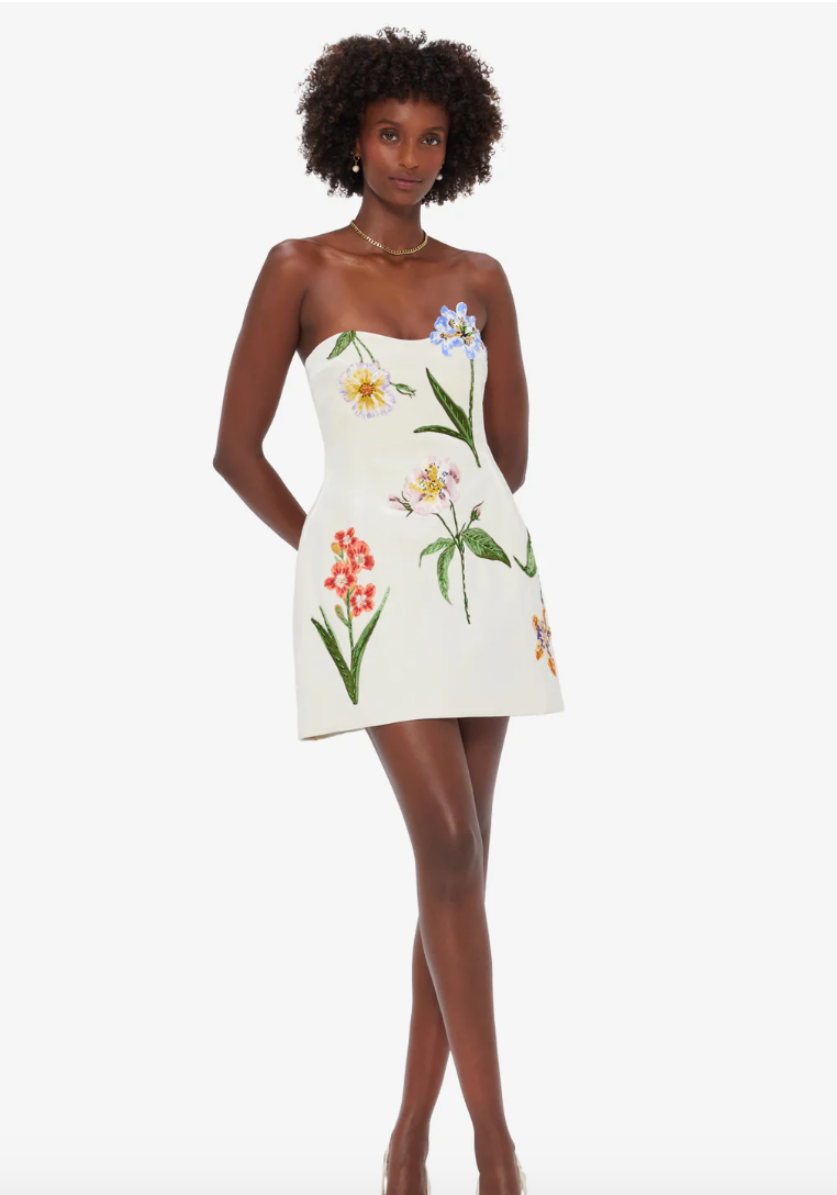 Rosario Velvet Mini Dress