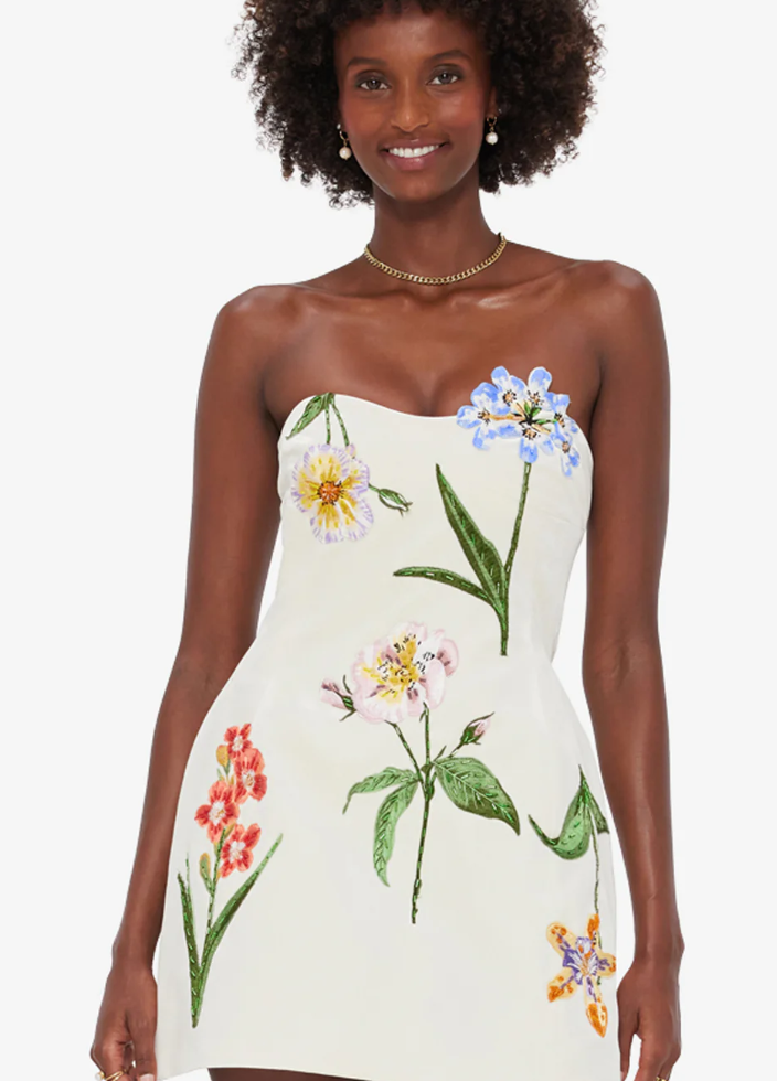 Rosario Velvet Mini Dress
